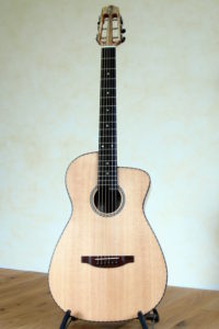 Steelstring Parlour Guitar proCut Cutaway Double Sides