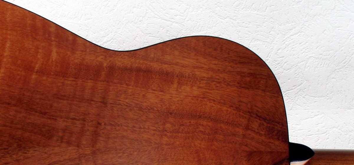 Steelstring Guitar Ambition Parlor Mahohany Spruce - back