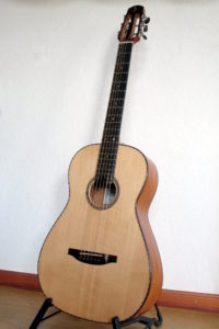 Steelstring Guitar Ambition Parlor Mahohany Spruce