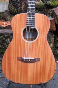 Steel String Guitar Ambition Fingerstyle – Scale Length 63 cm Body and Top Mahogany