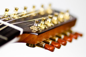 12 - String Guitar Mini Tuners