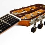 parlor guitar ambition parlour luthier christian stoll