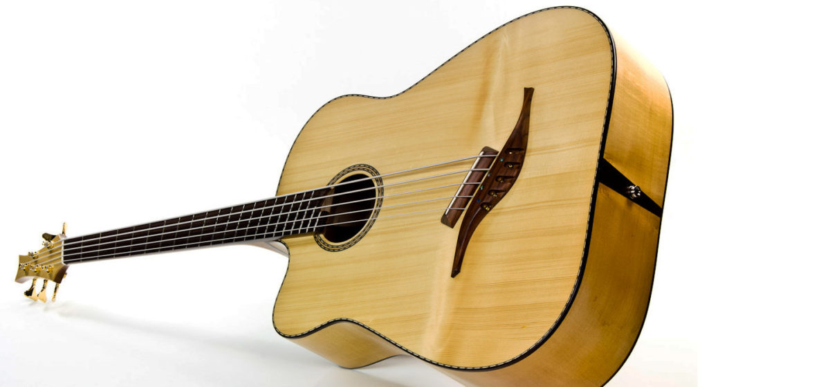 left-handed acoustic bass 5 string with Fanned Frets