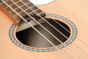 acoustic bass bevel fan frets no rosewood luthier christian stoll