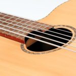 legendary acoustic bass 4 5 6-string big sound luthier