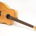 legendary acoustic bass 4 5 6-string big sound luthier