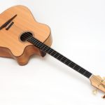 legendary acoustic bass 4 5 6-string big sound luthier