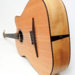 legendary acoustic bass 4 5 6-string big sound luthier