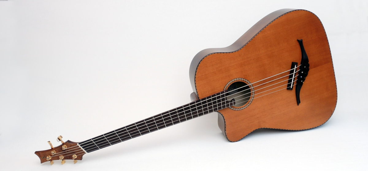 5-string lefthanded IQ Acoustic Bass