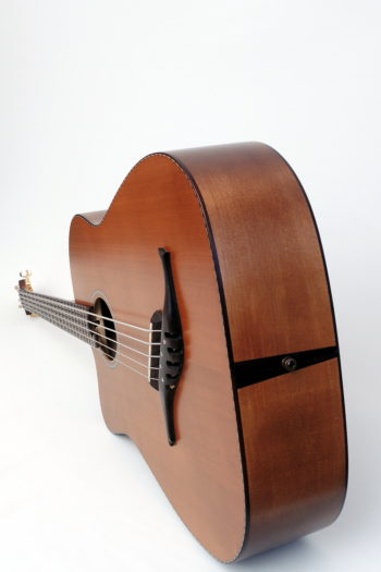 5-string lefthanded IQ Acoustic Bass