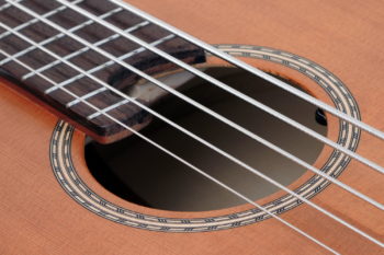 5-string lefthanded IQ Acoustic Bass