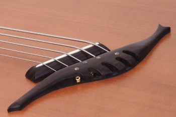 5-string lefthanded IQ Acoustic Bass
