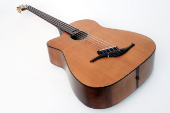 5-string lefthanded IQ Acoustic Bass