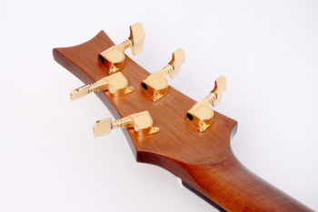5-string lefthanded IQ Acoustic Bass