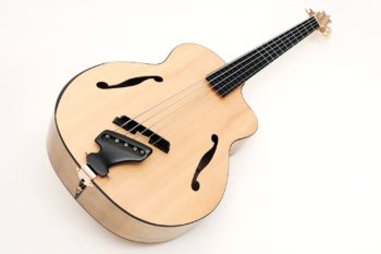 archtop acoustic bass bevel fanned frets side soundhole