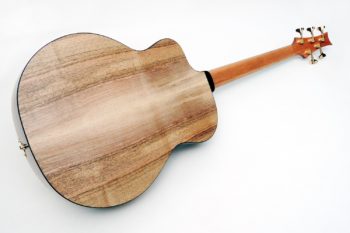 archtop acoustic bass bevel fanned frets side soundhole