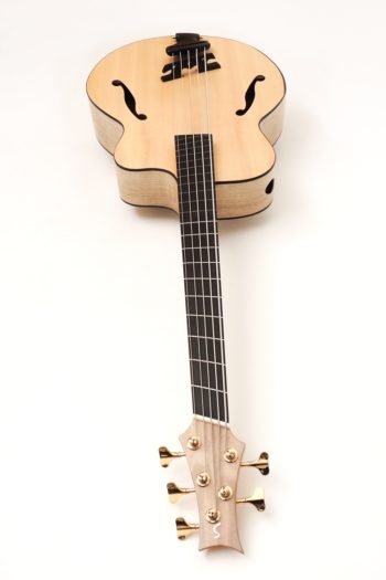 archtop acoustic bass bevel fanned frets side soundhole