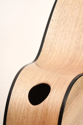 archtop acoustic bass bevel fanned frets side soundhole