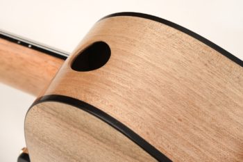 archtop acoustic bass bevel fanned frets side soundhole