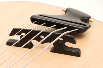 archtop acoustic bass bevel fanned frets side soundhole