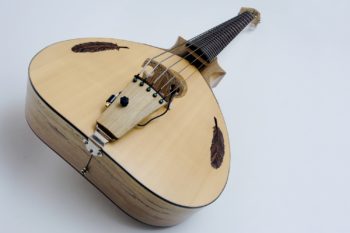 custom order bowable acoustic bass