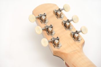 Steel String Guitar Cider Barrel Oak Spruce fingerstyle