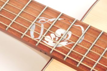 Steel String Guitar Cider Barrel Oak Spruce fingerstyle