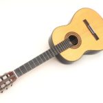 classical soloist guitar brazilian rosewood Custom makassar ebony luthier stoll
