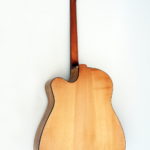 legendary acoustic bass 4 5 6-string big sound luthier