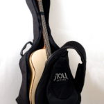 The Legendary Acoustic Bass - Gigbag