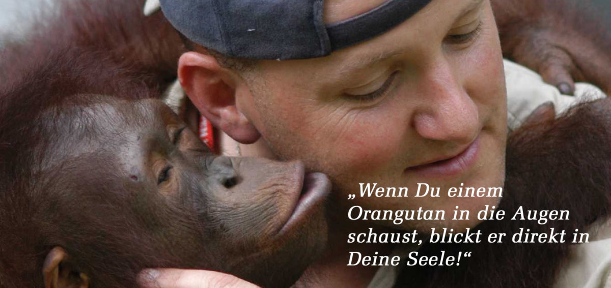 fans for nature donation orang utans