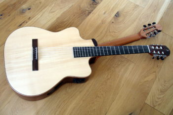 Double Neck Reversible Guitar