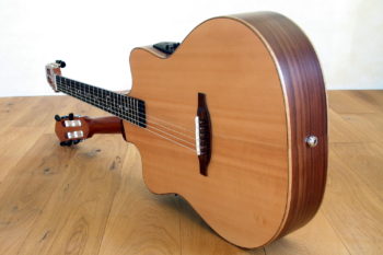 Double Neck Reversible Guitar Steel String Classical Side Soundhole Pickup
