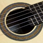Classical Guitar Cutaway