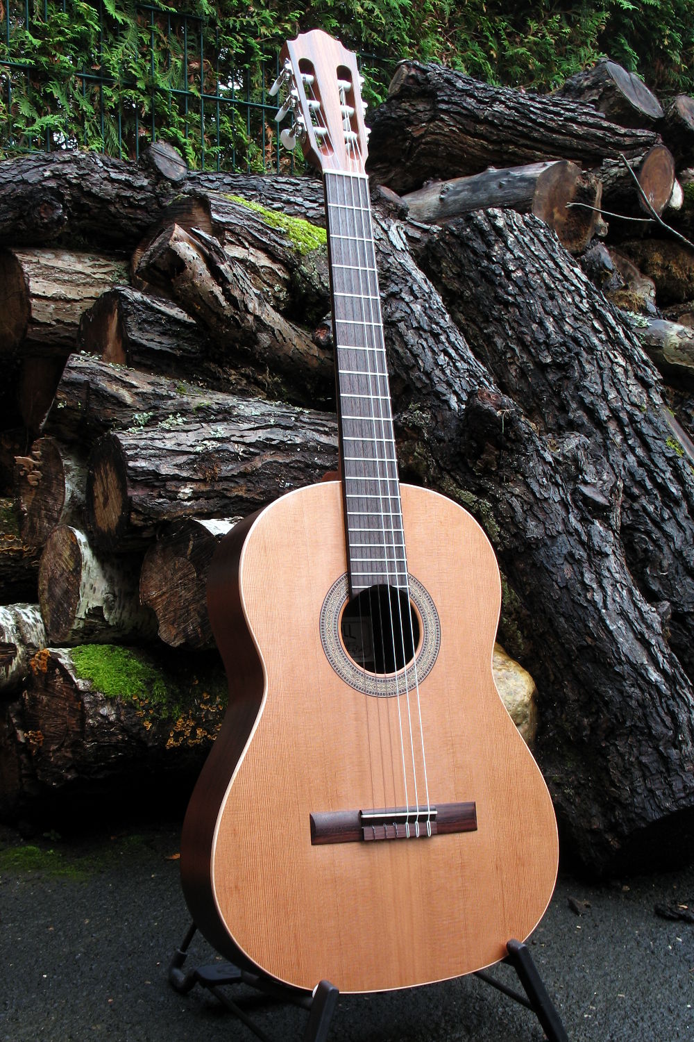 Classic Left Handed Guitar with Rosewood Back and Sides - Stoll Guitars