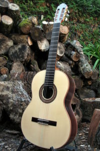 Classical Guitar Classic Line I Burmese Rosewood