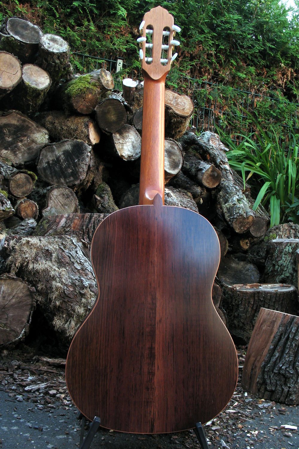 Classical Guitar Back and Sides of Burmese Rosewood - Classic Line I