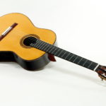 Classical soloist Guitar Evolution M