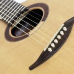 Mini jumbo rosewood multi scale fanned frets cutaway