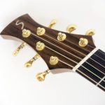Mini jumbo rosewood multi scale fanned frets cutaway