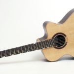 Mini jumbo rosewood multi scale fanned frets cutaway