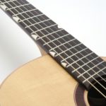 Mini jumbo rosewood multi scale fanned frets cutaway
