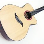 Mini jumbo purple heart amaranth violet wood multi scale fanned frets cutaway