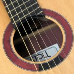 Mini jumbo purple heart amaranth violet wood multi scale fanned frets cutaway