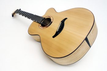 Evidence Tamarind Steel String with Fanned Frets NO Rosewood