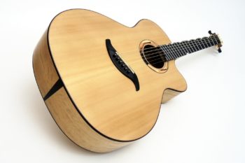 Evidence Tamarind Steel String with Fanned Frets NO Rosewood