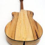 Evidence Tamarind Steel String with Fanned Frets NO Rosewood