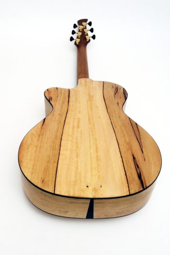 Evidence Tamarind Steel String with Fanned Frets NO Rosewood