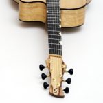Evidence Tamarind Steel String with Fanned Frets NO Rosewood