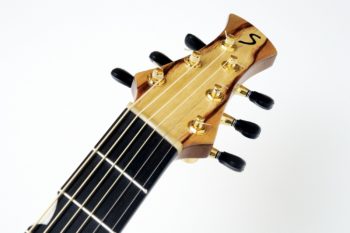 Evidence Tamarind Steel String with Fanned Frets NO Rosewood